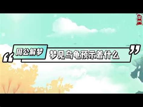 夢見ㄨ龜|夢見烏龜